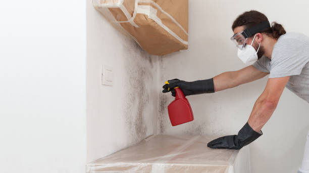Professional Mold Removal technician working in Netcong, NJ